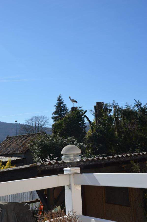 Gite Les Glycines 68230 Turckheim Exteriör bild